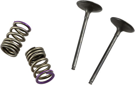 PROX Valve and Spring Kit 28.SIS4336-2