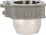 CYLINDER WORKS Cylinder - Standard ACTUALLY FOR STD BORE 40002