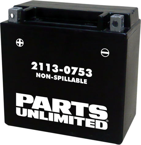 Parts Unlimited Agm Battery - Ytx14 Ctx14