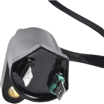RM STATOR Ignition Coil - External RM06001
