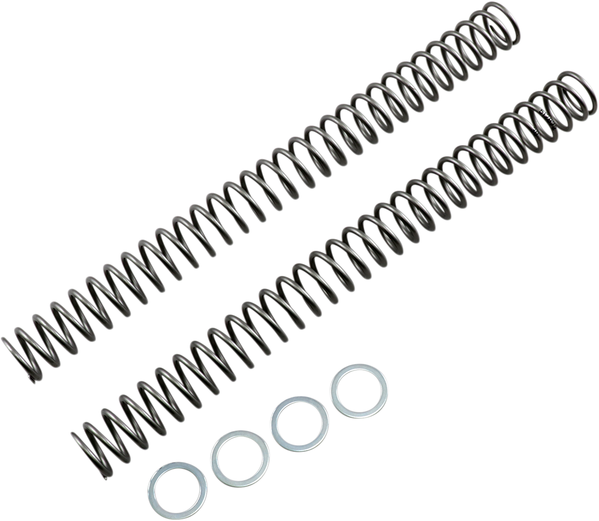 RACE TECH Fork Springs - 0.38 kg/mm FRSP 444838