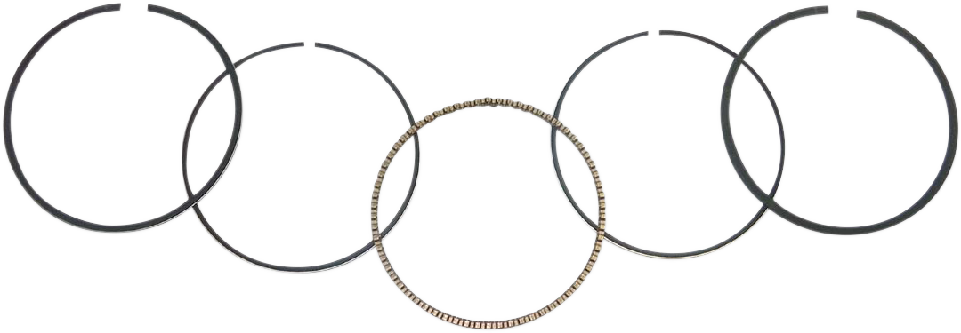 WSM Ring Set 51-250-04