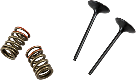 PROX Valve and Spring Kit 28.SIS4341-2