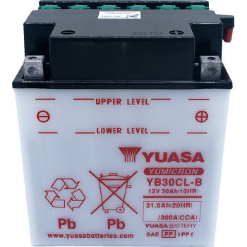 YUASA Conventional Battery  YB30CL-B  12V     YUAM2230CTWN