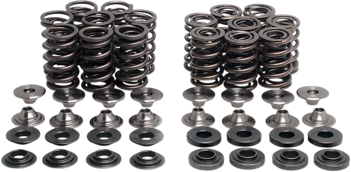 KIBBLEWHITE Valve Spring Kit 40-41100