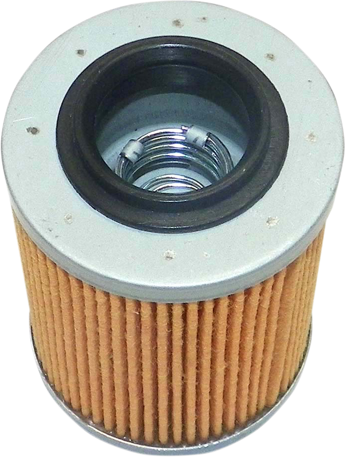 WSM Oil Filter - Sea-Doo Spark 006-559