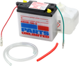 Parts Unlimited Battery - 6n4b-2a-3 6n4b-2a-3-Fp