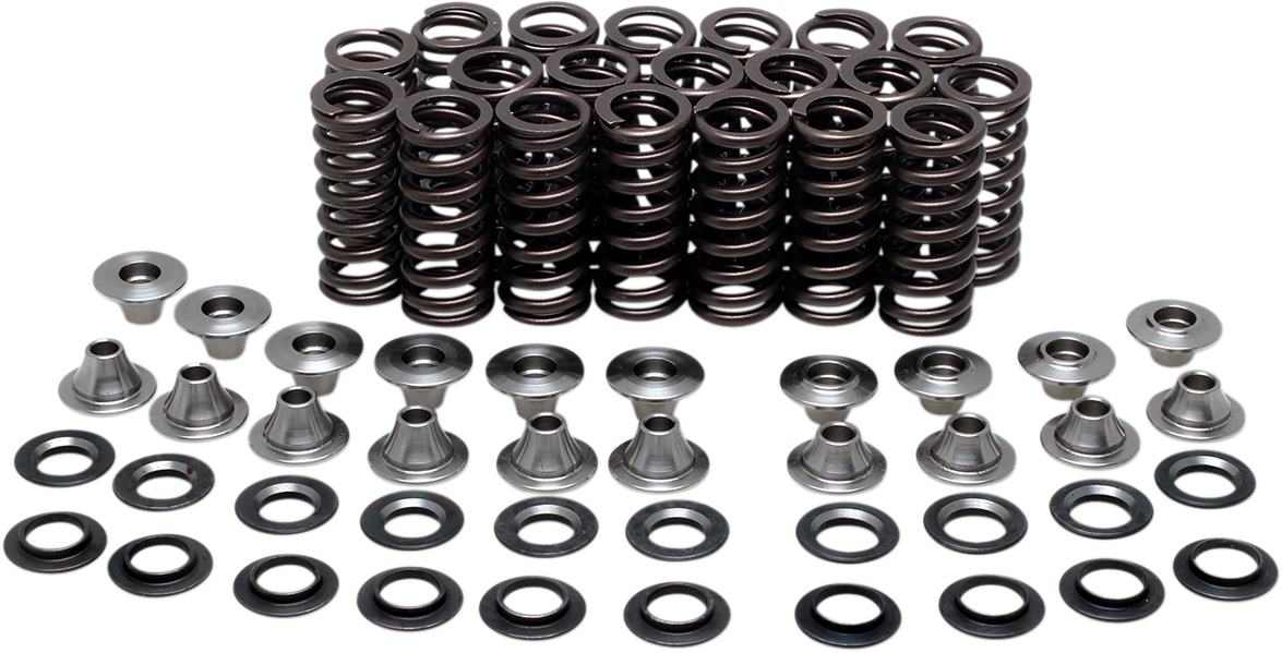 KIBBLEWHITE Valve Spring Kit 80-80500