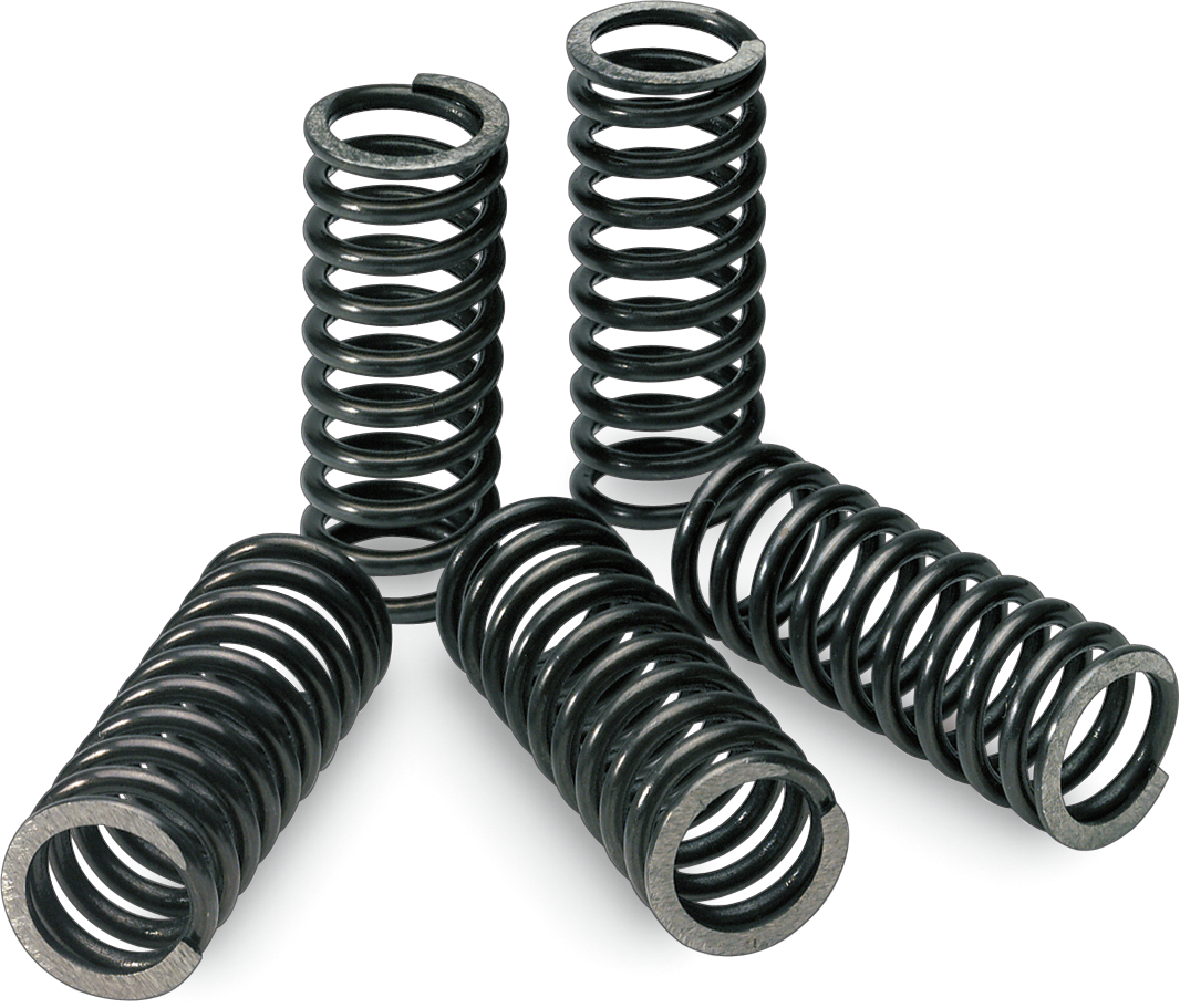 PRO CIRCUIT Clutch Springs CSH10250-CS