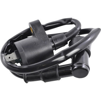 RM STATOR Ignition Coil - External RM06001