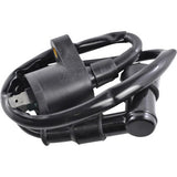 RM STATOR Ignition Coil - External RM06001