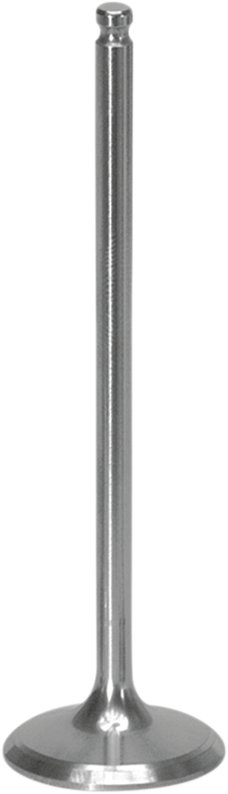 XCELDYNE Intake Valve XIVM13000