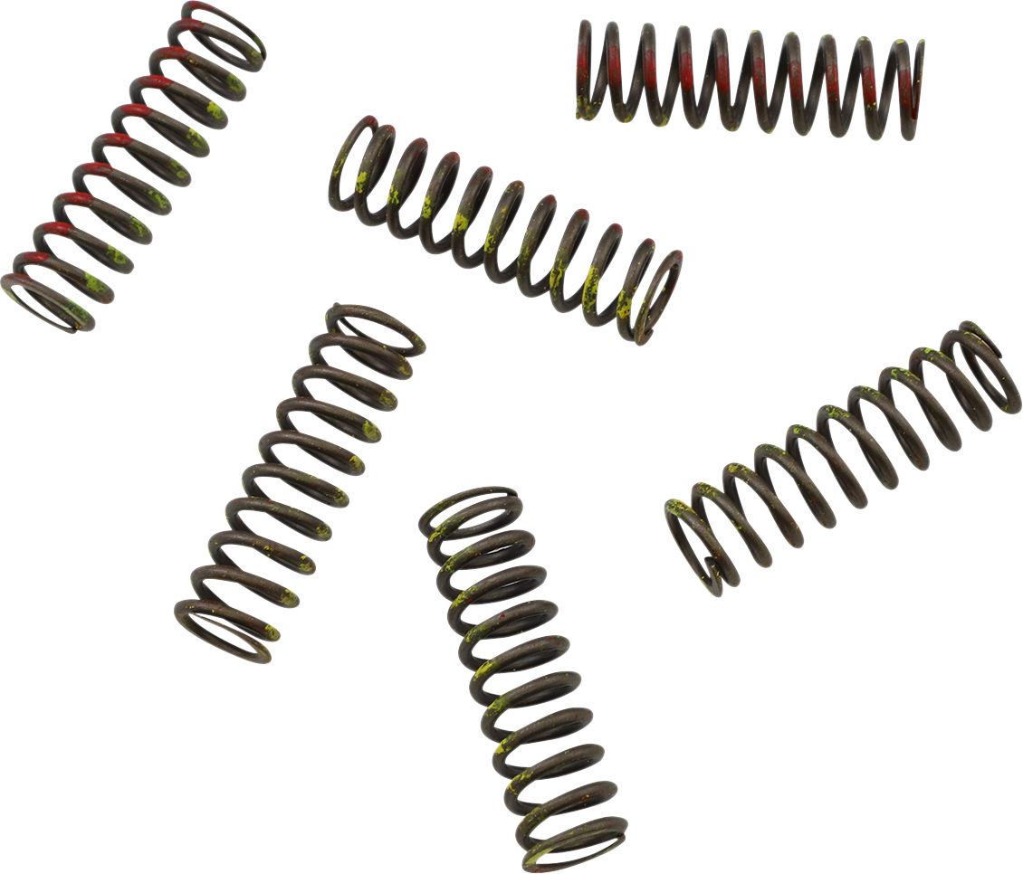 KG POWERSPORTS Clutch Spring Set KGS-043