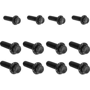 ARLEN NESS Bolt Kit - Transmission Side Cover/Trap Door - 12-Point - Titanium - Black 300-954