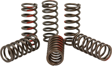 PRO CIRCUIT Clutch Springs CST12350