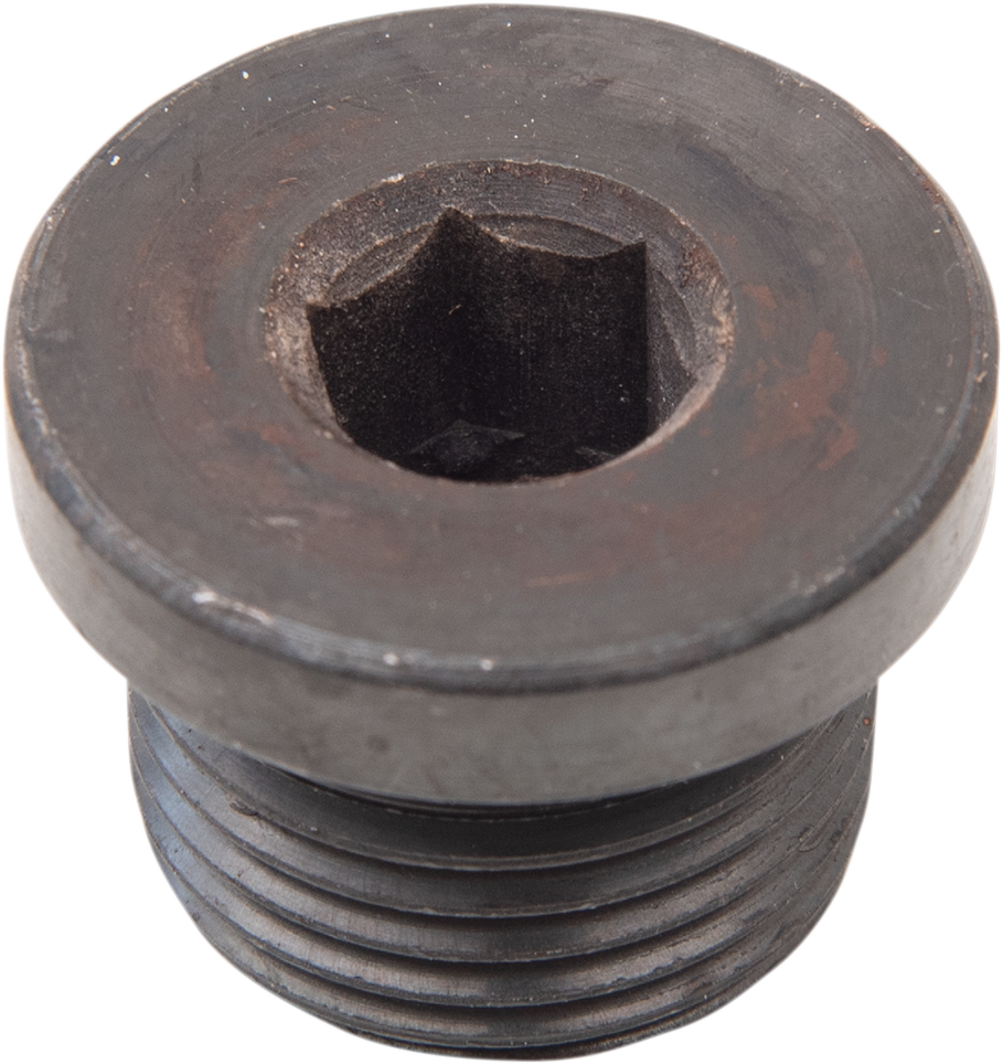 DAYTONA TWIN TEC LLC Hex Socket O2 Sensor Plug - 18mm x 1.5mm 115002