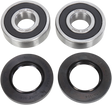PIVOT WORKS Wheel Bearing Kit - Rear PWRWS-V02-000