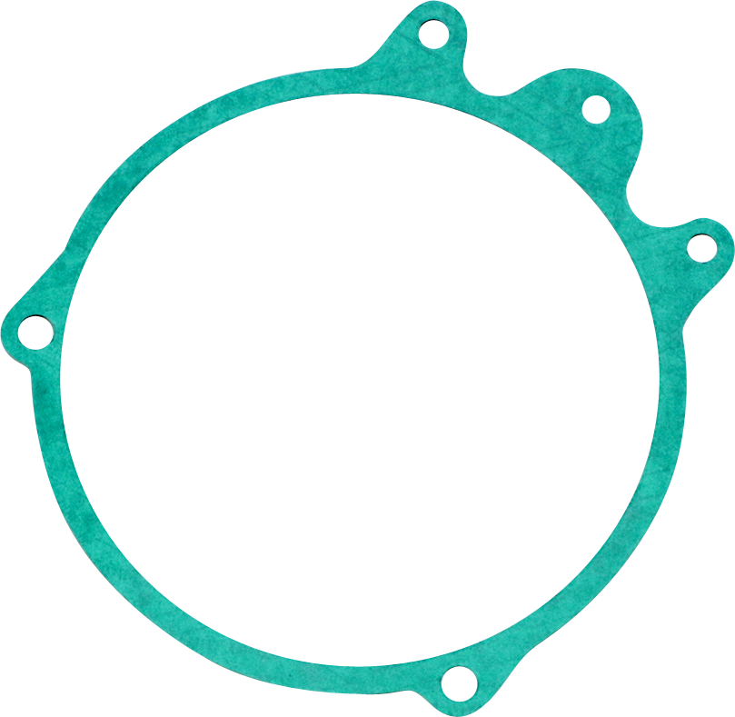 RICK'S MOTORSPORT ELECTRIC Stator Gasket - Honda 25-111