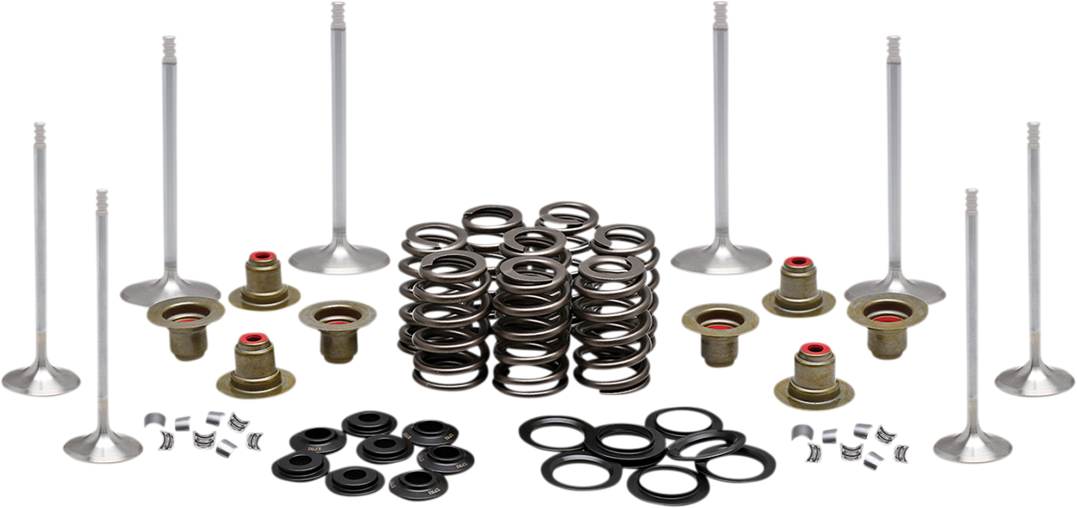 KIBBLEWHITE Complete Valve Kit - M8 20-23350