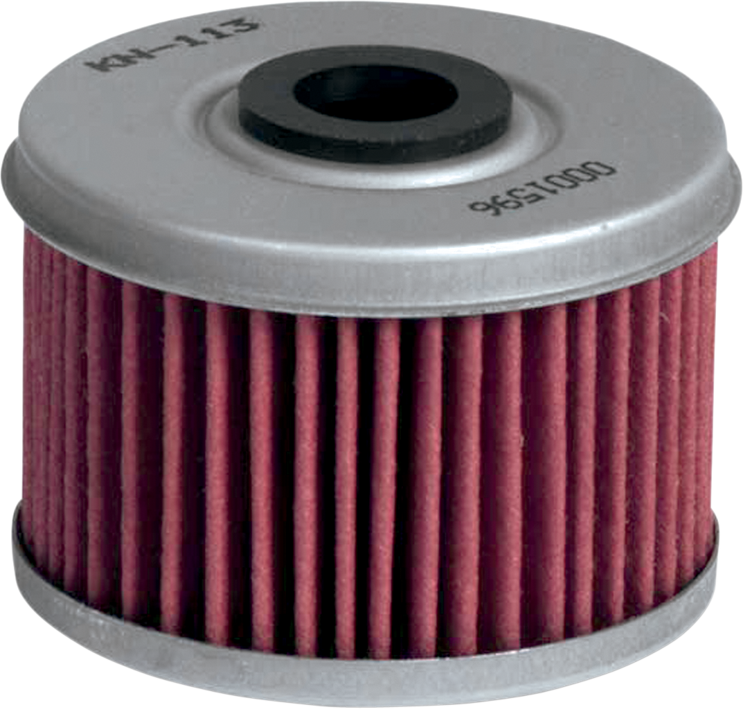 K & N Oil Filter KN-113