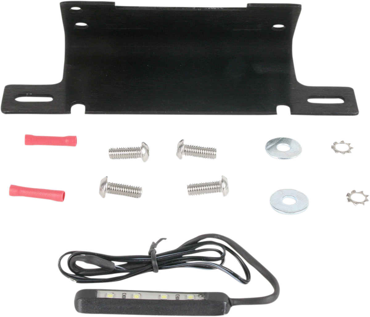 TARGA Tail Kit without Signals - Hayabusa '08-'14 22-358-L