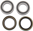 PIVOT WORKS Wheel Bearing Kit - Rear PWRWK-P05-000