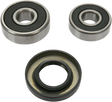 PIVOT WORKS Wheel Bearing Kit - Rear PWRWK-K14-001