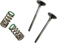 PROX Valve and Spring Kit 28.SES2402-1