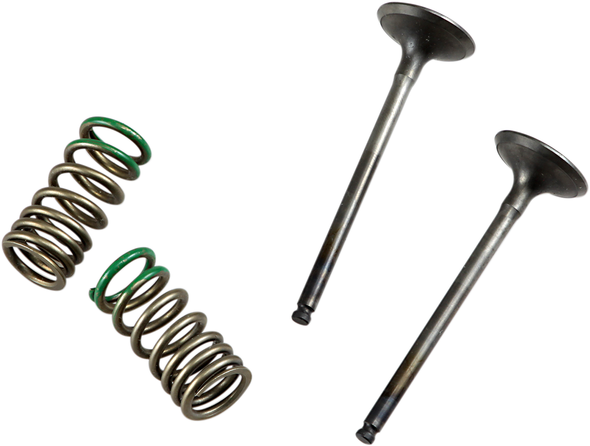 PROX Valve and Spring Kit 28.SES2402-1