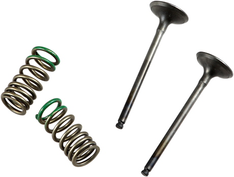 PROX Valve and Spring Kit 28.SES2402-1