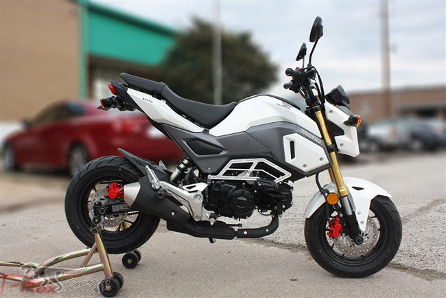 T-rex 2017 - 2018 honda grom msx125 fender eliminator