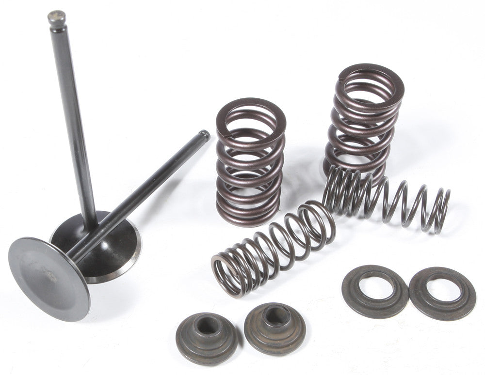 KPMIIntake Valve/Spring Kit Stainless Steel96-96480