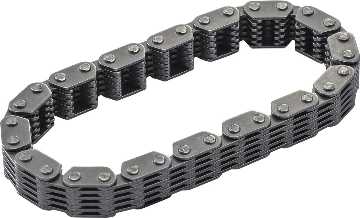 HARDDRIVE Secondary Cam Chain Tc 88" Inner Oem Repl 87054