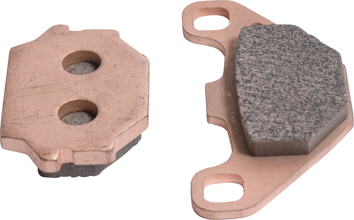 ALL BALLS Sintered Brake Pad Kit 18-8029