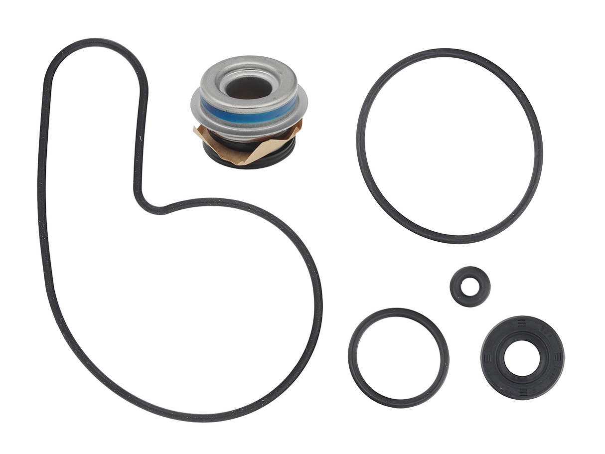 SP1 Water Pump Repair Kit Ac 10-721217