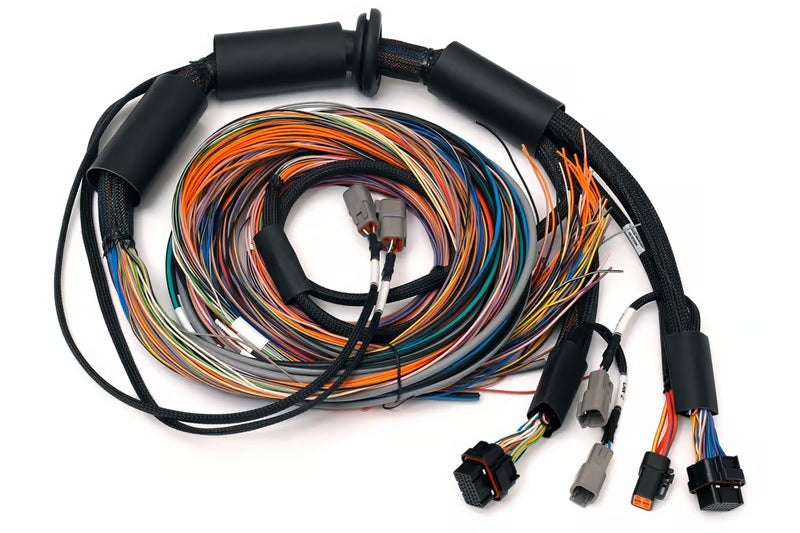 Haltech NEXUS R3 Universal Wire-In Harness - 2.5M (8ft) HT-183200