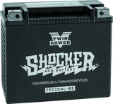 Twin Power YTX-20HL Shocker Battery Replaces H-D 65989-97A 781154