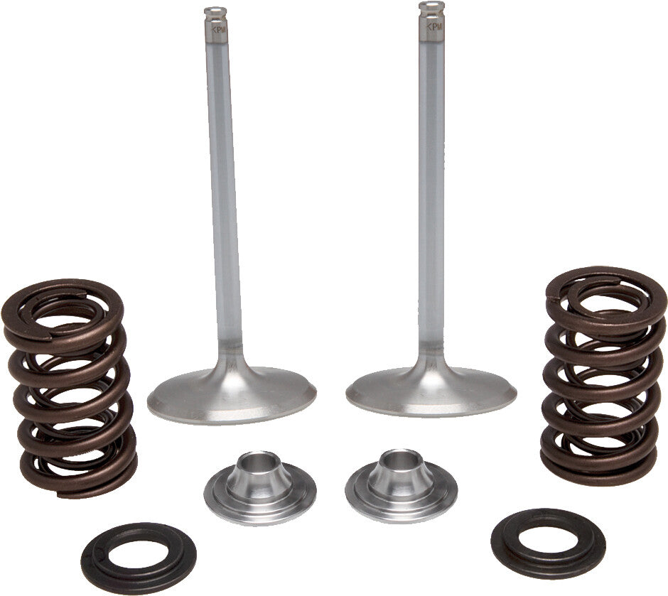 KPMIIntake Valve Spring Kit60-60450