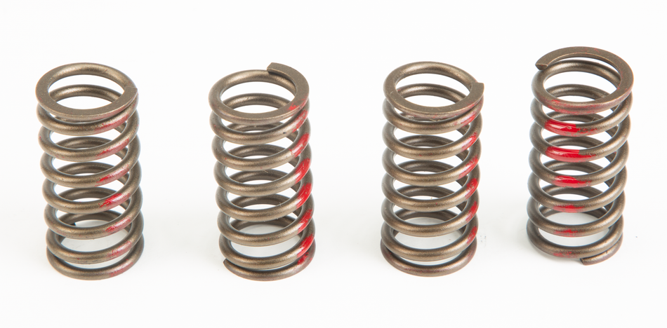 PRO CIRCUIT Clutch Springs CSH12150-CS