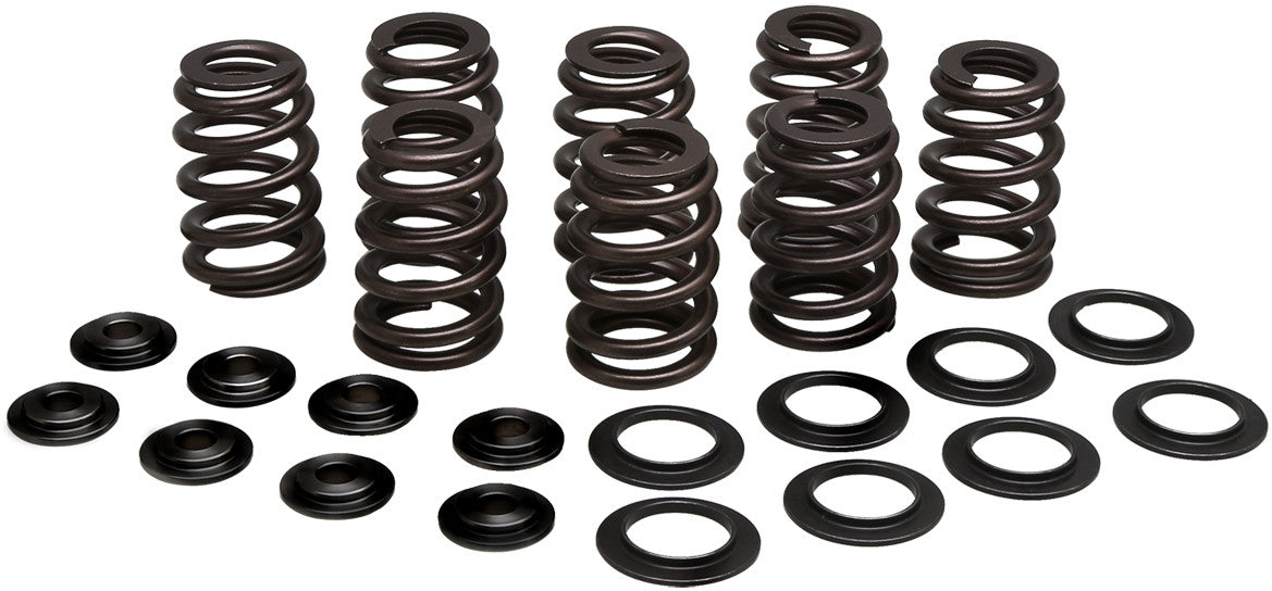 KPMIValve Spring Kit Beehive M8 Steel20-21050