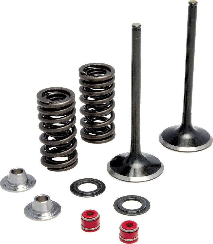 KPMIIntake Valve Spring Kit30-31580