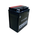 Parts Unlimited Agm Battery - Ytx14ahbs .798l Ctx14ah-Bs