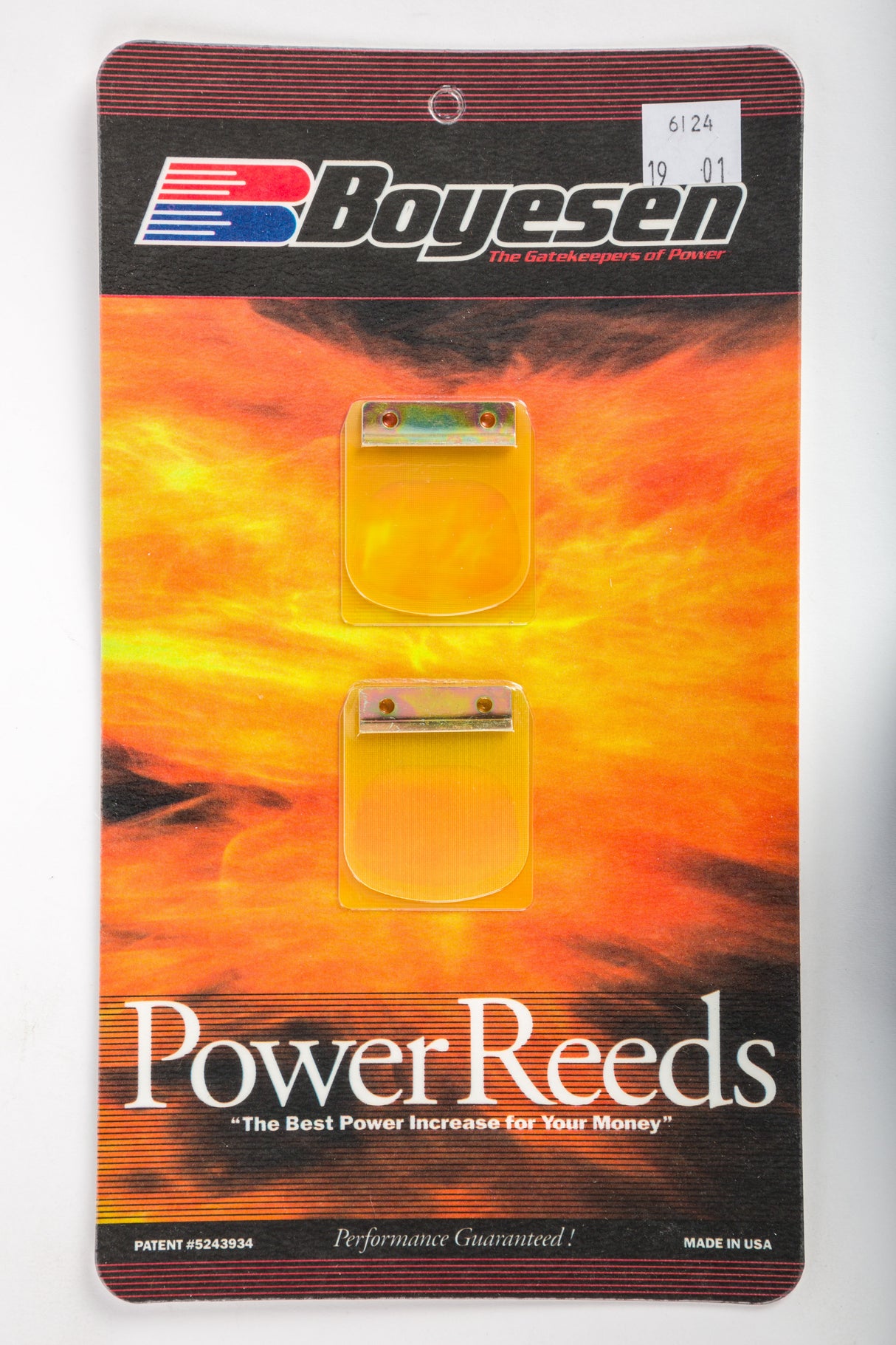 BOYESEN Motorcycle Reeds 6124