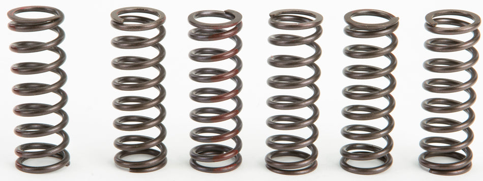 PRO CIRCUIT Clutch Springs CSH13450-CS