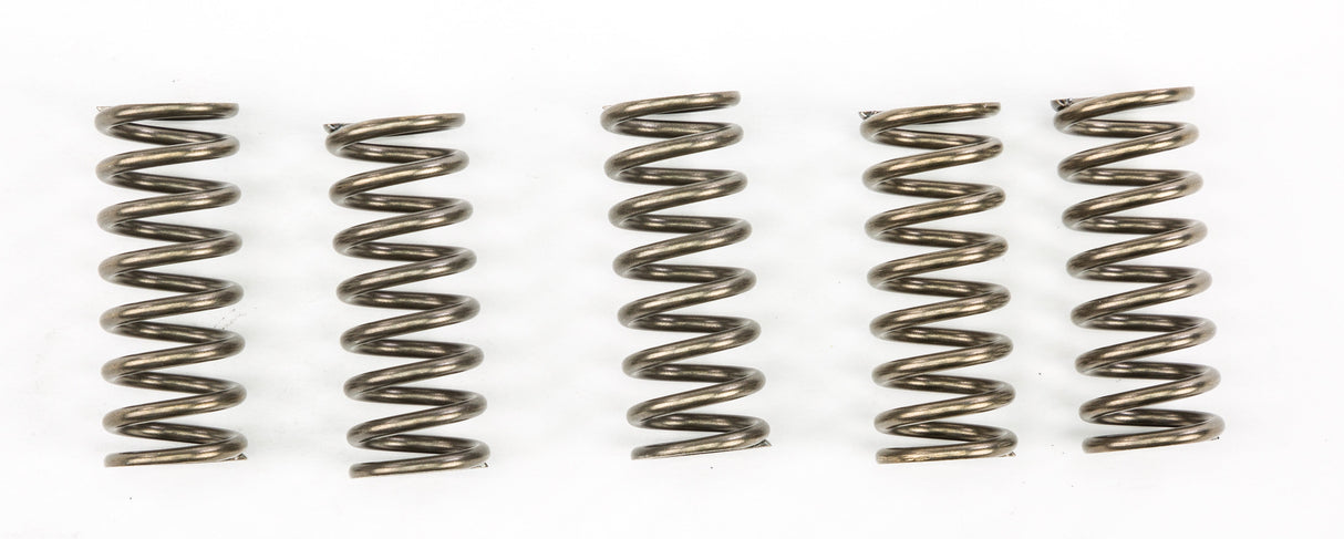 EBC Clutch Springs Csk249 CSK249