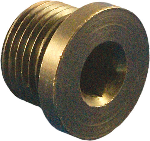 DAYTONA Hex Plug For O2 Weld Nut Replacement Part 115002