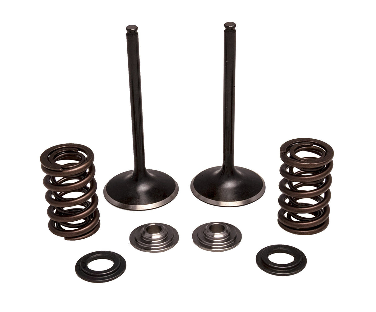 KPMIIntake Valve/Spring Kit Stainless Steel30-33250