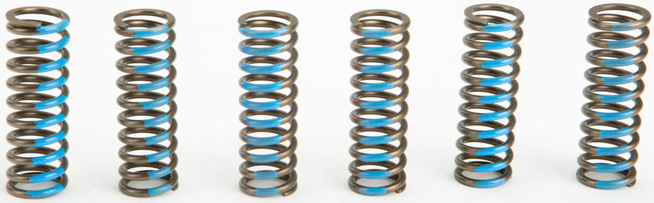 PRO CIRCUIT Clutch Springs CSY06450