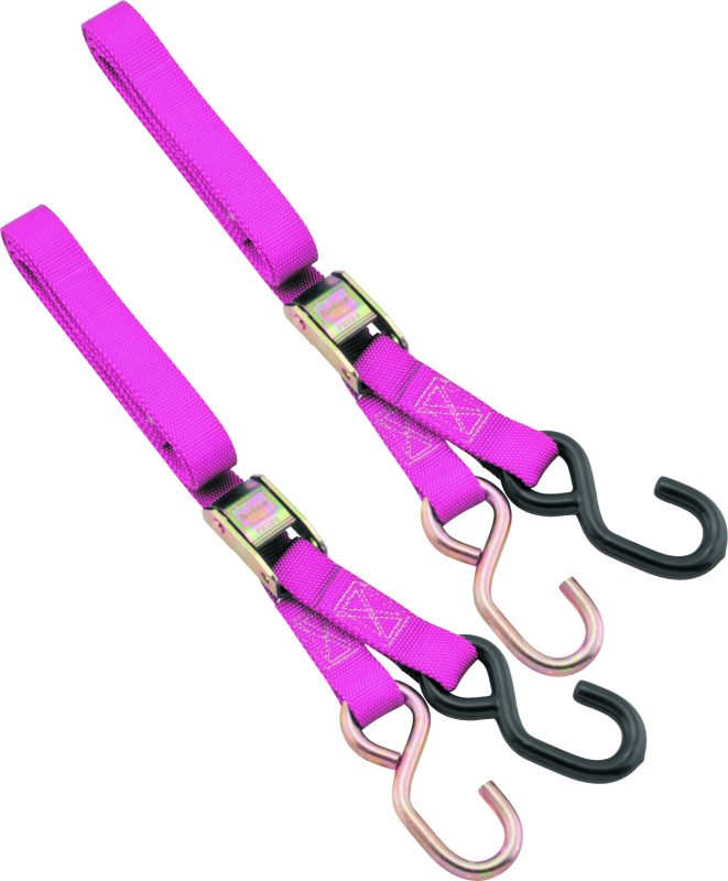 BikeMaster 1in Tiedown - Pink 100503