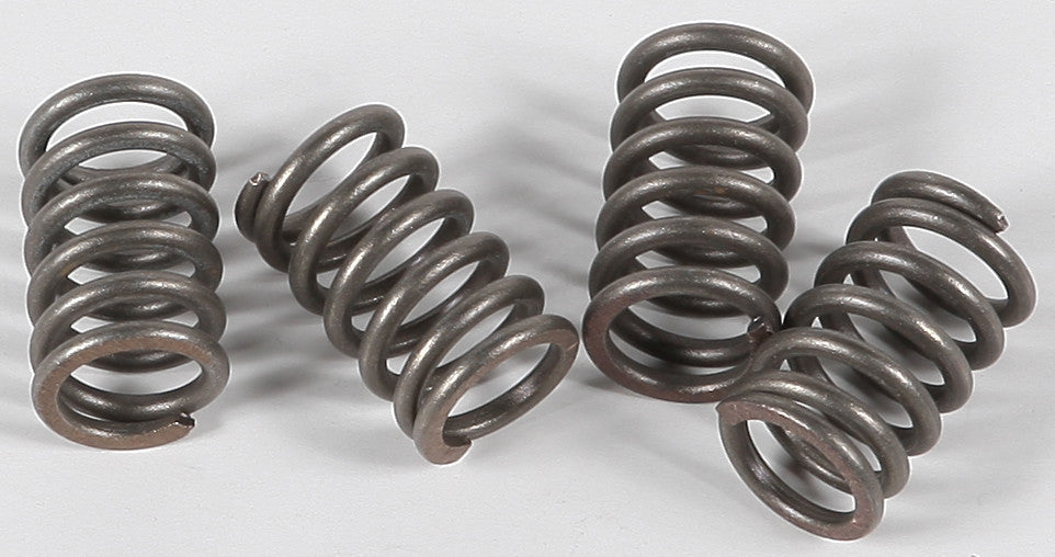 EBC Clutch Springs Csk3 CSK3